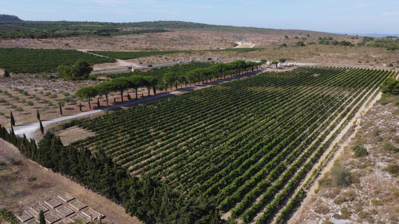 Chateau Catherine De Montgolfier B&B Et Gites Narbonne Dış mekan fotoğraf
