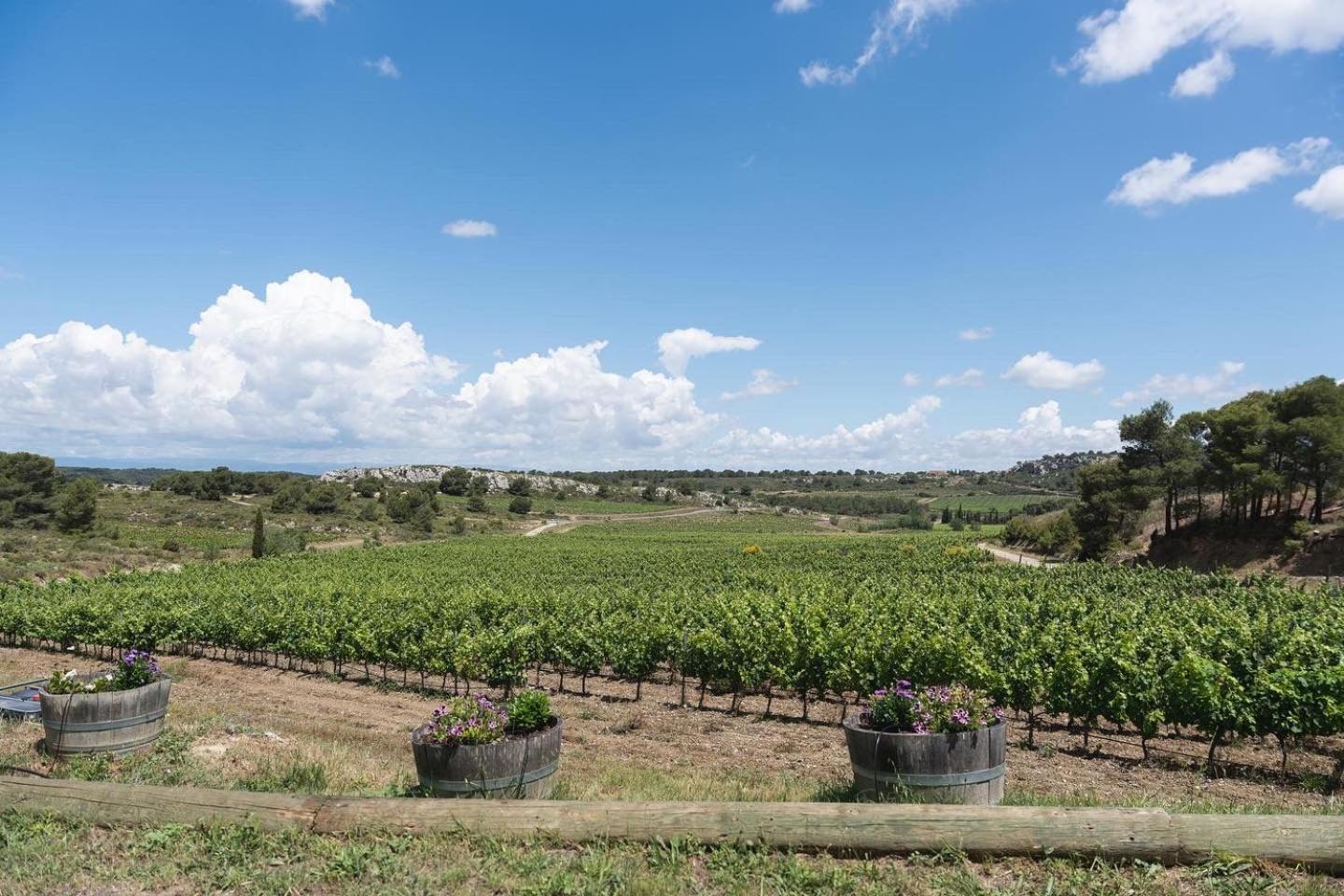 Chateau Catherine De Montgolfier B&B Et Gites Narbonne Dış mekan fotoğraf